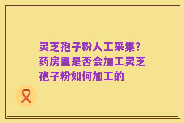 灵芝孢子粉人工采集?药房里是否会加工灵芝孢子粉如何加工的