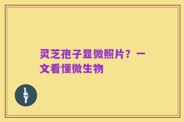 灵芝孢子显微照片？一文看懂微生物