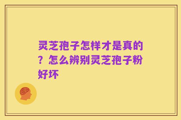 灵芝孢子怎样才是真的?怎么辨别灵芝孢子粉好坏