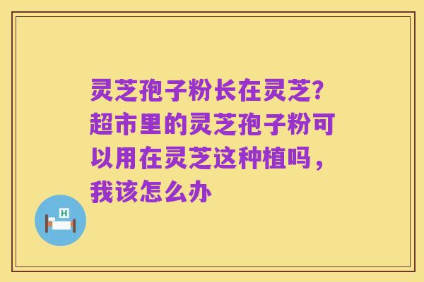 灵芝孢子粉长在灵芝?超市里的灵芝孢子粉可以用在灵芝这种植吗,我该怎么办