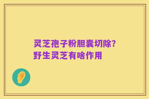 灵芝孢子粉胆囊切除？野生灵芝有啥作用
