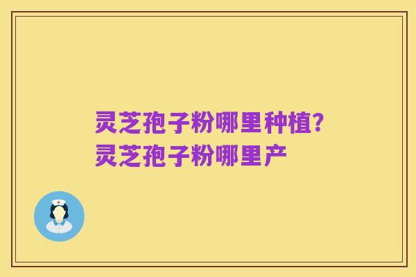 灵芝孢子粉哪里种植?灵芝孢子粉哪里产