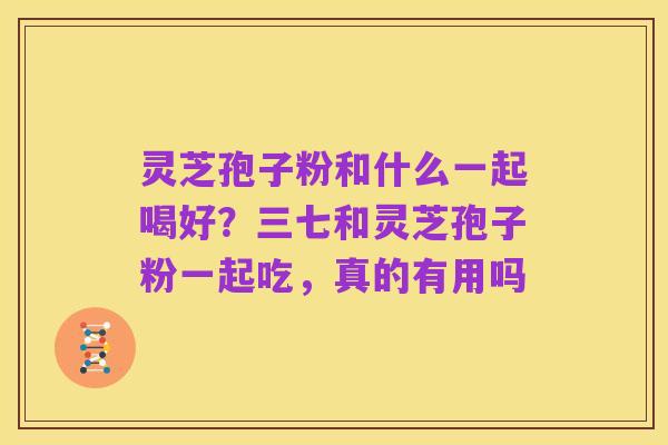 灵芝孢子粉和什么一起喝好?三七和灵芝孢子粉一起吃,真的有用吗