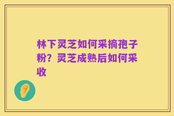 林下灵芝如何采摘孢子粉？灵芝成熟后如何采收