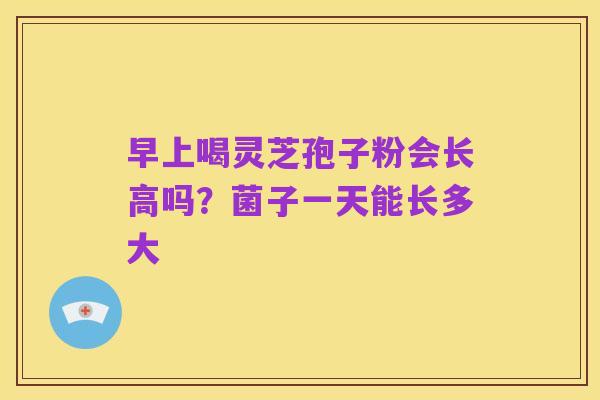 早上喝灵芝孢子粉会长高吗?菌子一天能长多大