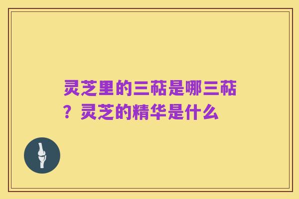 灵芝里的三萜是哪三萜？灵芝的精华是什么