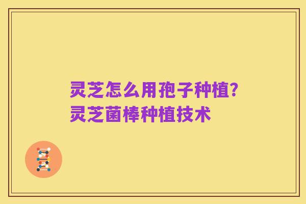 灵芝怎么用孢子种植?灵芝菌棒种植技术