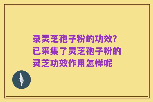 录灵芝孢子粉的功效？已采集了灵芝孢子粉的灵芝功效作用怎样呢