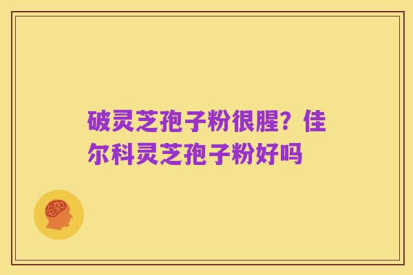 破灵芝孢子粉很腥?佳尔科灵芝孢子粉好吗