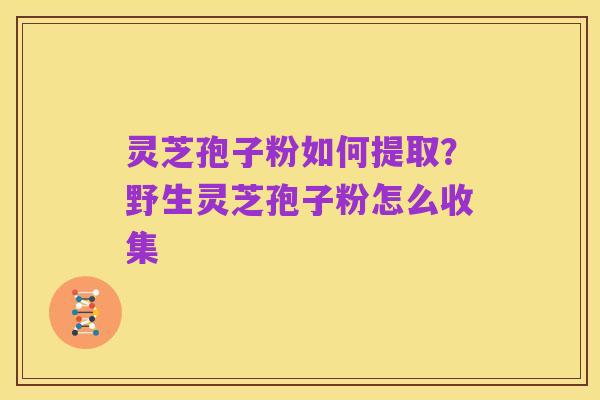 灵芝孢子粉如何提取？野生灵芝孢子粉怎么收集