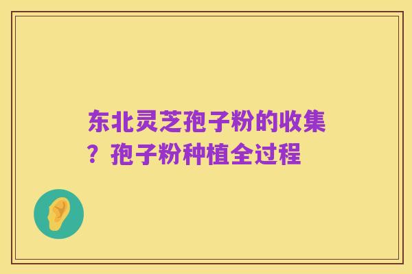 东北灵芝孢子粉的收集?孢子粉种植全过程