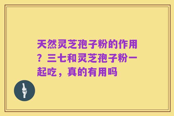 天然灵芝孢子粉的作用?三七和灵芝孢子粉一起吃,真的有用吗
