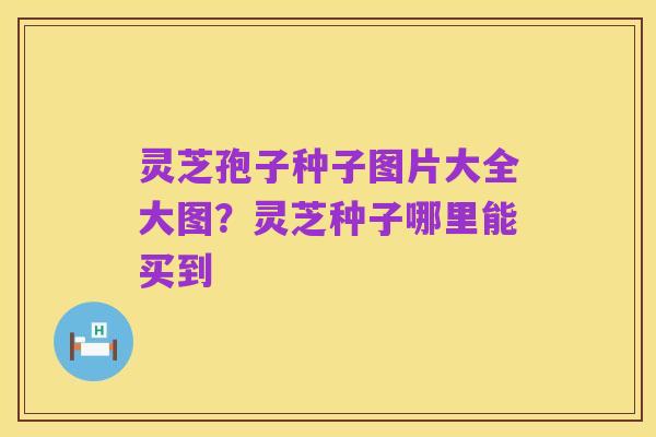 灵芝孢子种子图片大全大图？灵芝种子哪里能买到