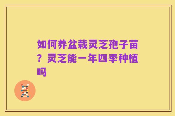 如何养盆栽灵芝孢子苗？灵芝能一年四季种植吗
