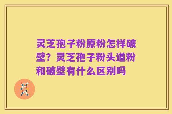 灵芝孢子粉原粉怎样破壁?灵芝孢子粉头道粉和破壁有什么区别吗