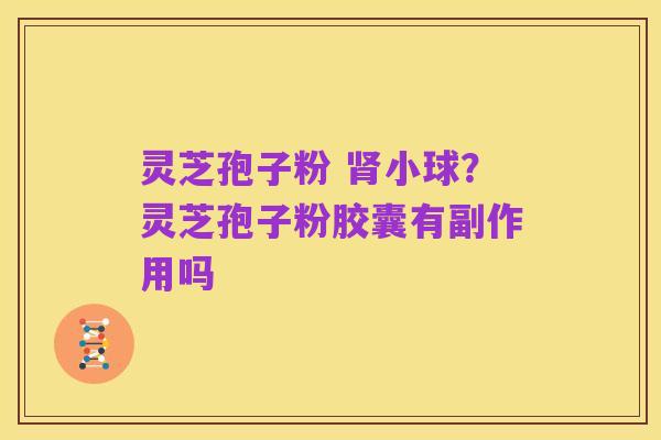 灵芝孢子粉 肾小球?灵芝孢子粉胶囊有副作用吗
