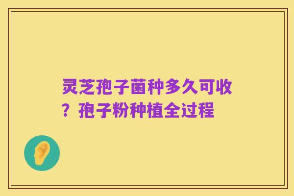 灵芝孢子菌种多久可收?孢子粉种植全过程