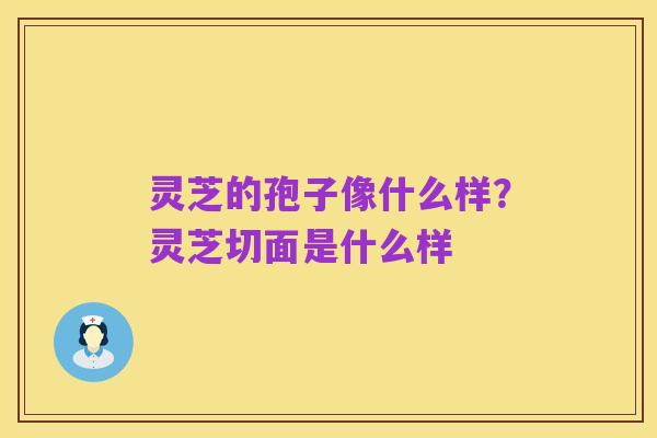 灵芝的孢子像什么样？灵芝切面是什么样