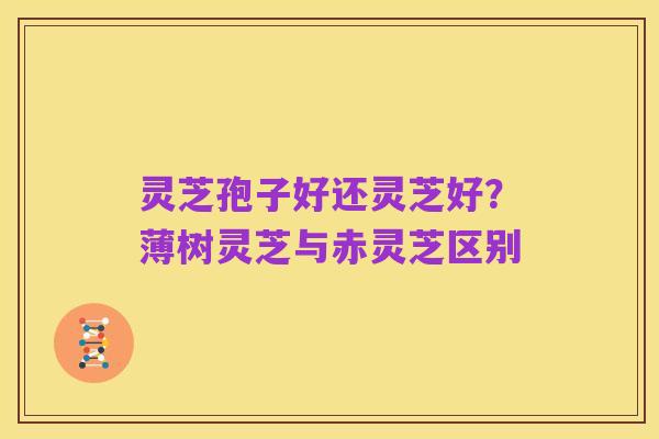 灵芝孢子好还灵芝好?薄树灵芝与赤灵芝区别