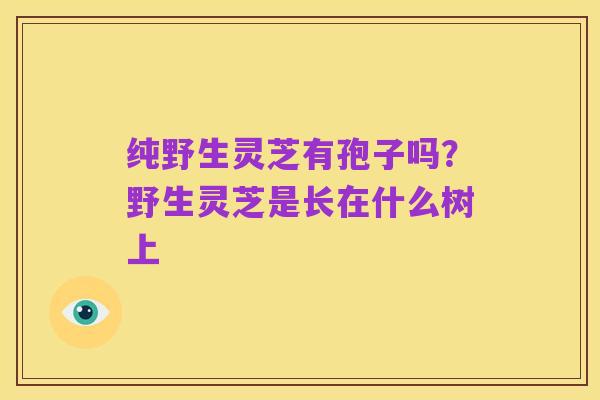 纯野生灵芝有孢子吗?野生灵芝是长在什么树上