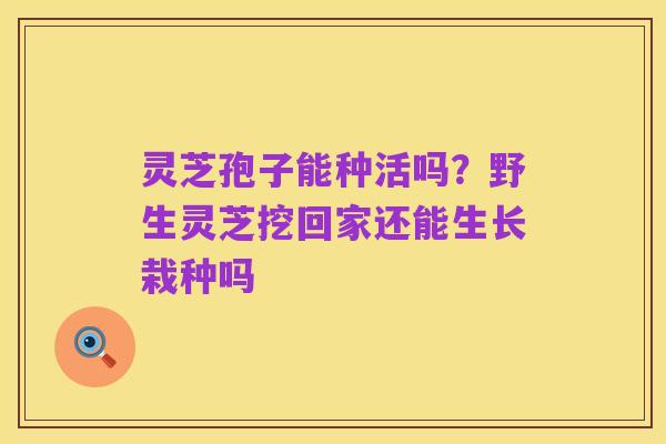 灵芝孢子能种活吗?野生灵芝挖回家还能生长栽种吗