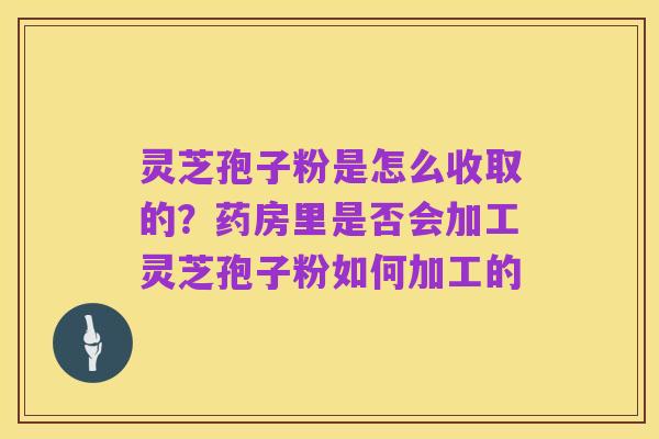 灵芝孢子粉是怎么收取的?药房里是否会加工灵芝孢子粉如何加工的