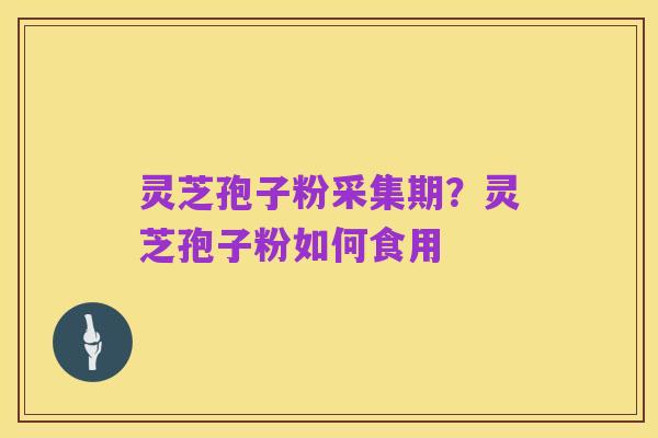 灵芝孢子粉采集期?灵芝孢子粉如何食用
