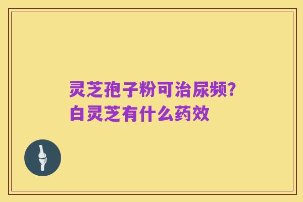 灵芝孢子粉可治尿频？白灵芝有什么药效