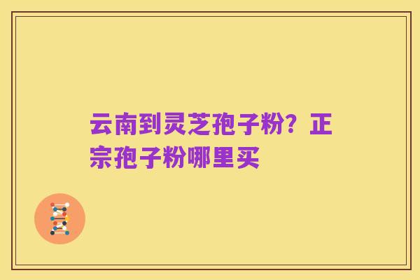 云南到灵芝孢子粉？正宗孢子粉哪里买