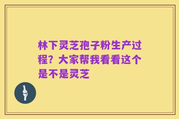 林下灵芝孢子粉生产过程？大家帮我看看这个是不是灵芝