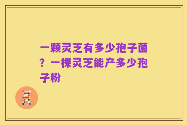 一颗灵芝有多少孢子菌?一棵灵芝能产多少孢子粉