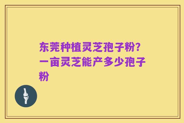 东莞种植灵芝孢子粉？一亩灵芝能产多少孢子粉