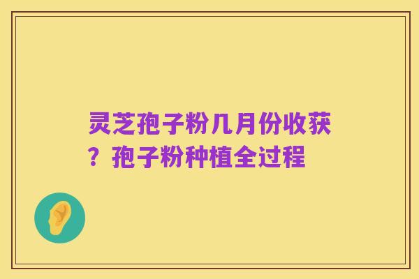 灵芝孢子粉几月份收获?孢子粉种植全过程