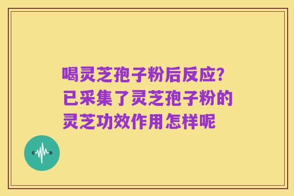 喝灵芝孢子粉后反应?已采集了灵芝孢子粉的灵芝功效作用怎样呢