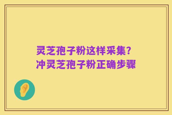 灵芝孢子粉这样采集?冲灵芝孢子粉正确步骤