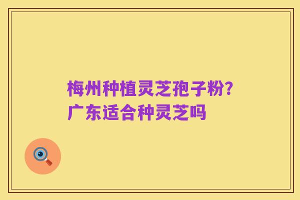 梅州种植灵芝孢子粉?广东适合种灵芝吗