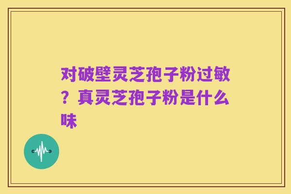对破壁灵芝孢子粉过敏?真灵芝孢子粉是什么味