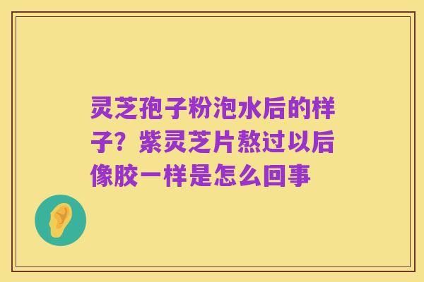 灵芝孢子粉泡水后的样子？紫灵芝片熬过以后像胶一样是怎么回事