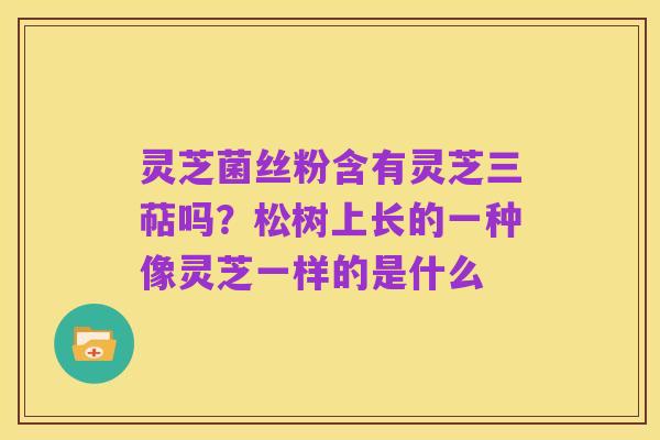 灵芝菌丝粉含有灵芝三萜吗？松树上长的一种像灵芝一样的是什么