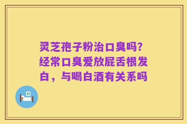 灵芝孢子粉治口臭吗?经常口臭爱放屁舌根发白,与喝白酒有关系吗