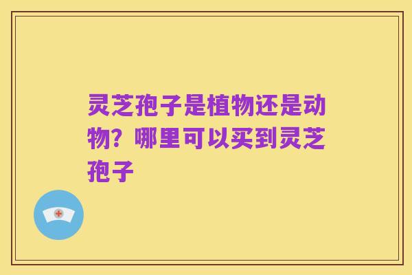 灵芝孢子是植物还是动物？哪里可以买到灵芝孢子