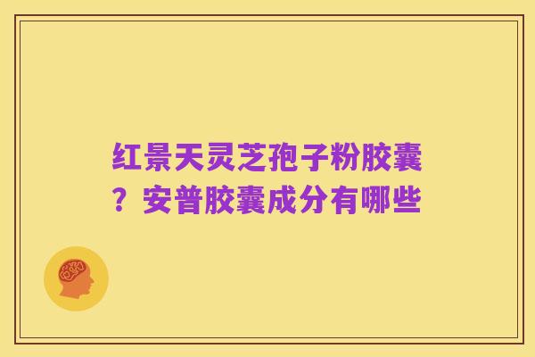 红景天灵芝孢子粉胶囊?安普胶囊成分有哪些