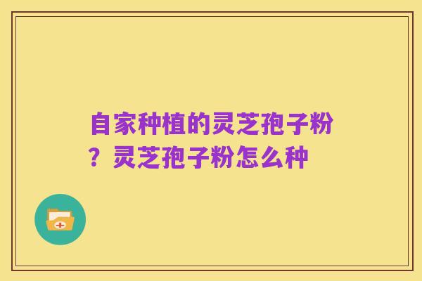 自家种植的灵芝孢子粉？灵芝孢子粉怎么种
