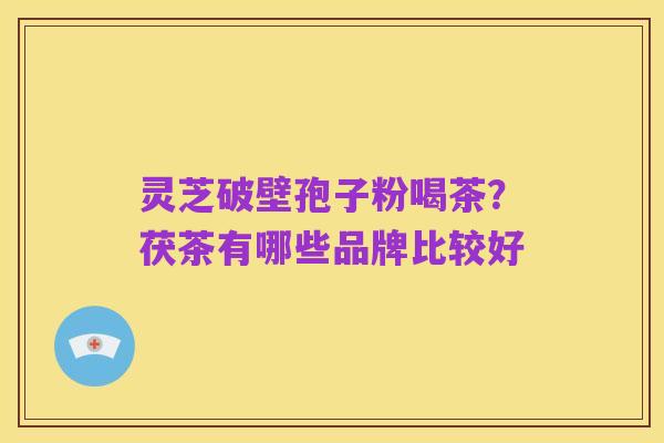 灵芝破壁孢子粉喝茶?茯茶有哪些品牌比较好