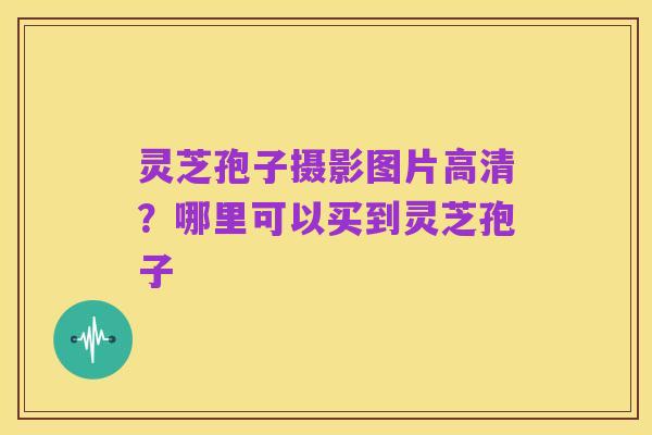 灵芝孢子摄影图片高清?哪里可以买到灵芝孢子