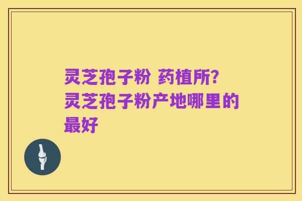 灵芝孢子粉 药植所?灵芝孢子粉产地哪里的最好
