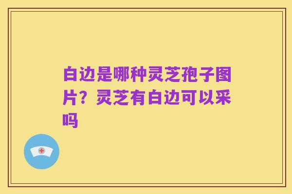 白边是哪种灵芝孢子图片？灵芝有白边可以采吗