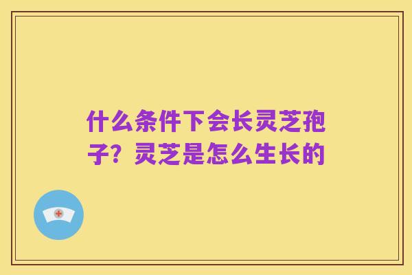 什么条件下会长灵芝孢子?灵芝是怎么生长的