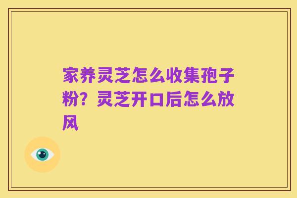 家养灵芝怎么收集孢子粉?灵芝开口后怎么放风