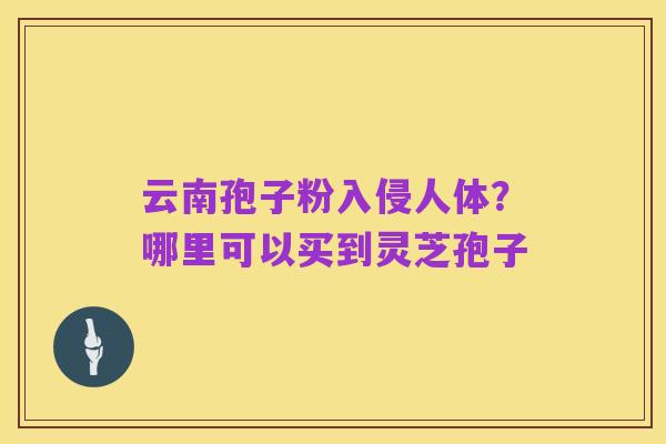 云南孢子粉入侵人体?哪里可以买到灵芝孢子